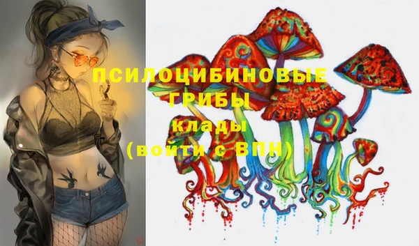 винт Карпинск