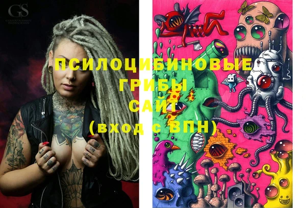 винт Карпинск