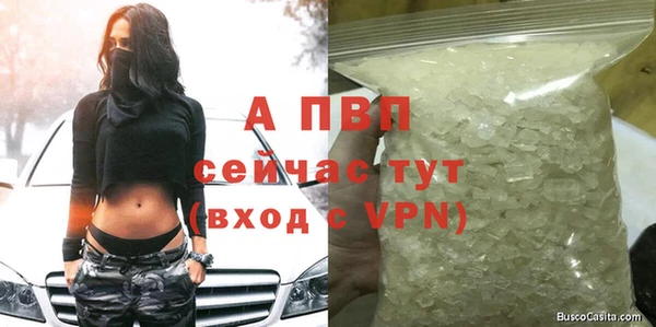 винт Карпинск