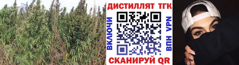 Дистиллят ТГК гашишное масло  Купить где  Никольск 