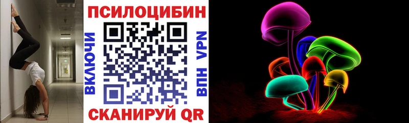 Купить  Никольск  Галлюциногенные грибы Magic Shrooms 